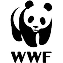 WWF